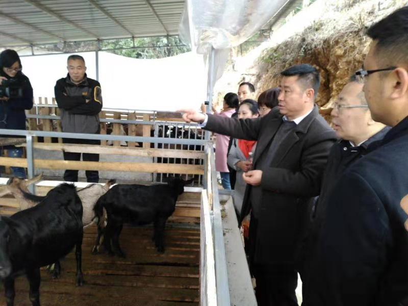 s9tkdt33SKWMMUGeLUzETg.jpg undefined