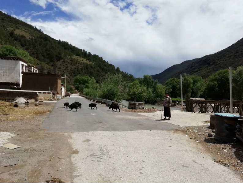 QhSTzgtbFOsZkQ.png undefined